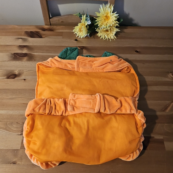 Thrills & Chills - Dog Pumpkin Halloween Costume - Size L - Picture 12 of 13